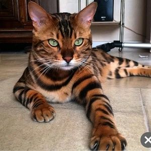 Meet your Posher, Scott