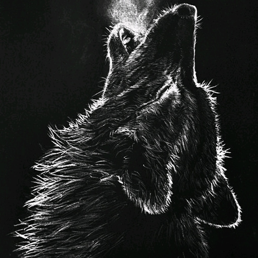 Meet your Posher, Erik