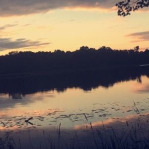 Meet your Posher, Dana