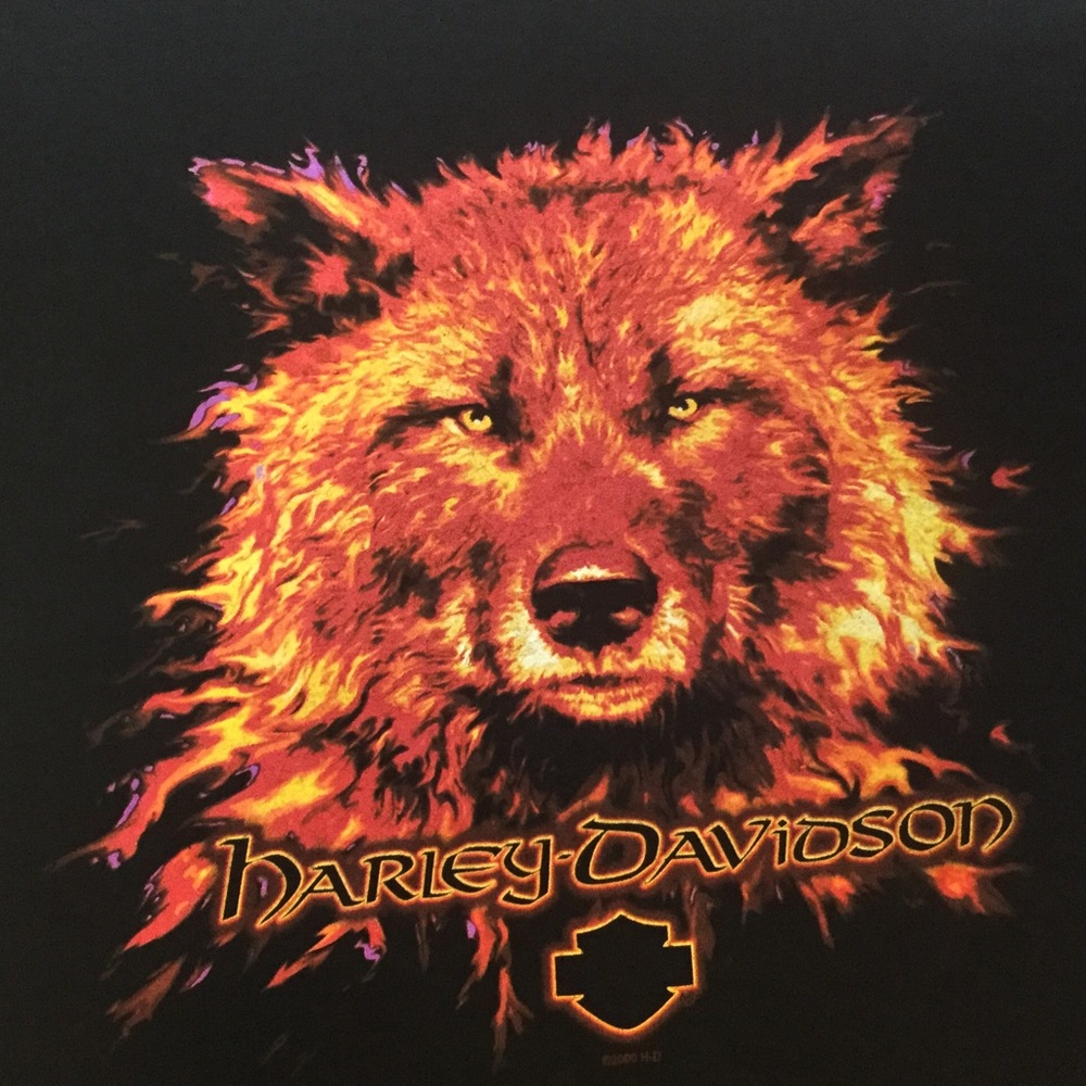 Harley-Davidson T Shirt Size M. NWT