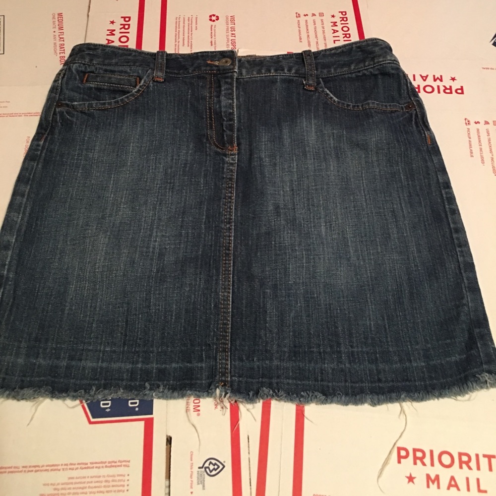 Ann Taylor Knee Length Skirt