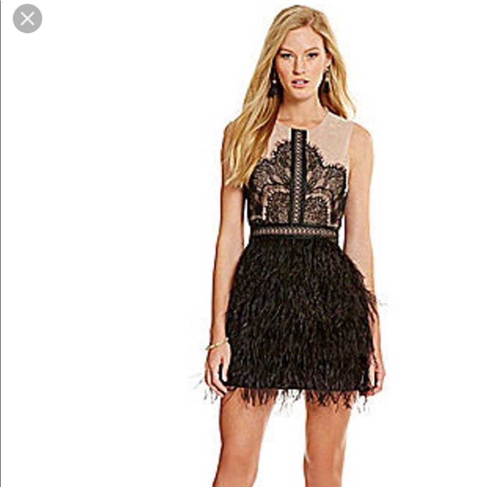 Gianni Bini feather dress