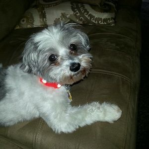 Meet your Posher, Lynne