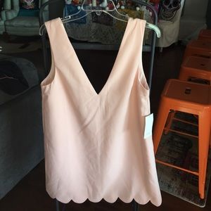Brand New Scallop Shift Blush Tobi Dress