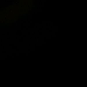 Meet your Posher, Noah