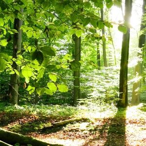 Meet your Posher, Jenifer