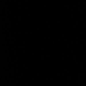 Meet your Posher, Cesar