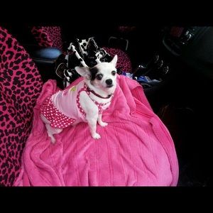 Meet your Posher, Laura