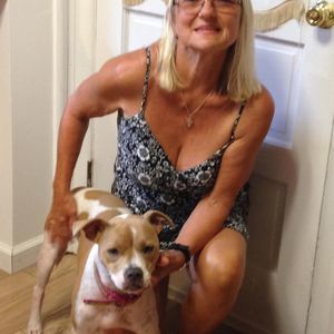 Meet your Posher, Donna