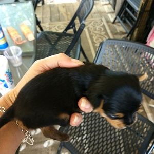 Meet your Posher, Michelle