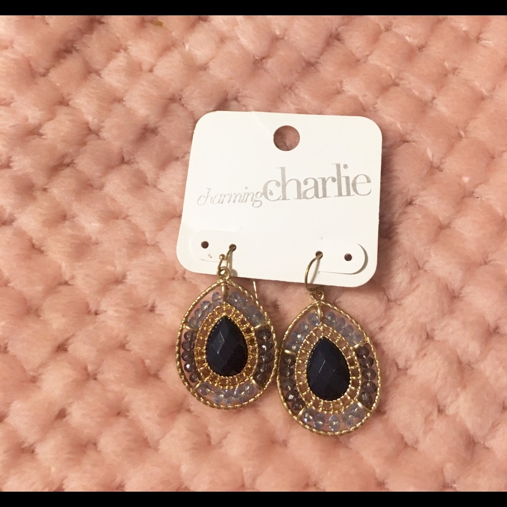 Charming Charlie beautiful drop earrings