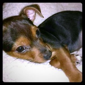 Bundle Likes. Always accepting reasonable offers.☺