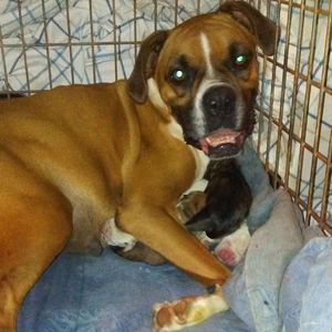 Meet your Posher, Ty