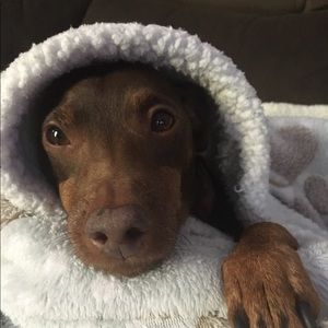 Meet your Posher, Linda