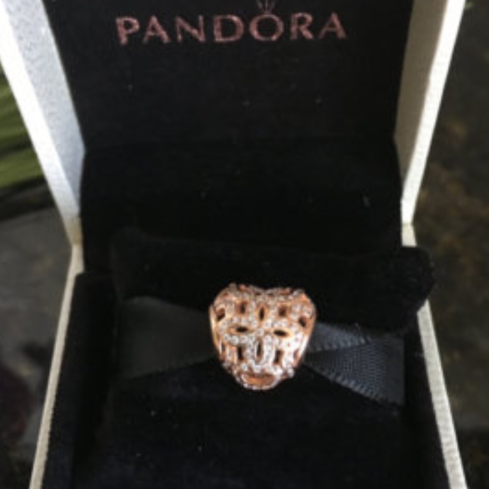 Pandora Rose Gold Love and Appreciation Charm