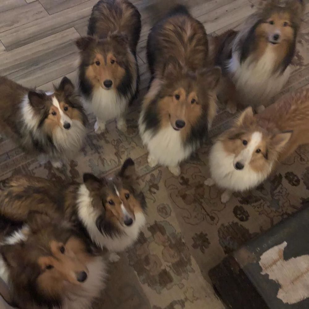 Meet your Posher, Severine