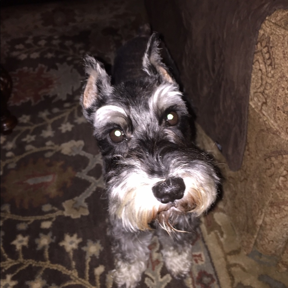 Meet your Posher, Jen