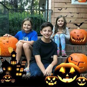 Meet your Posher, Anne