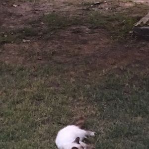 Meet your Posher, Sergio