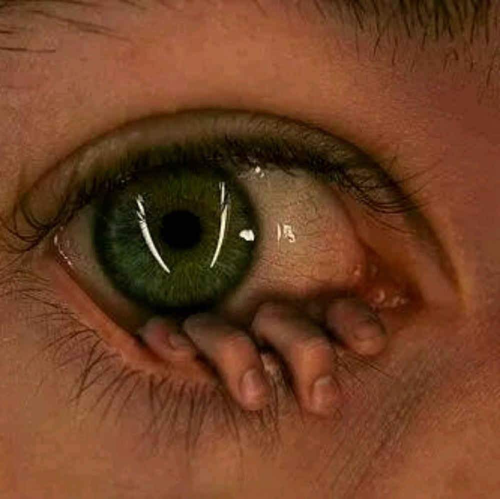 Meet your Posher, Lyn