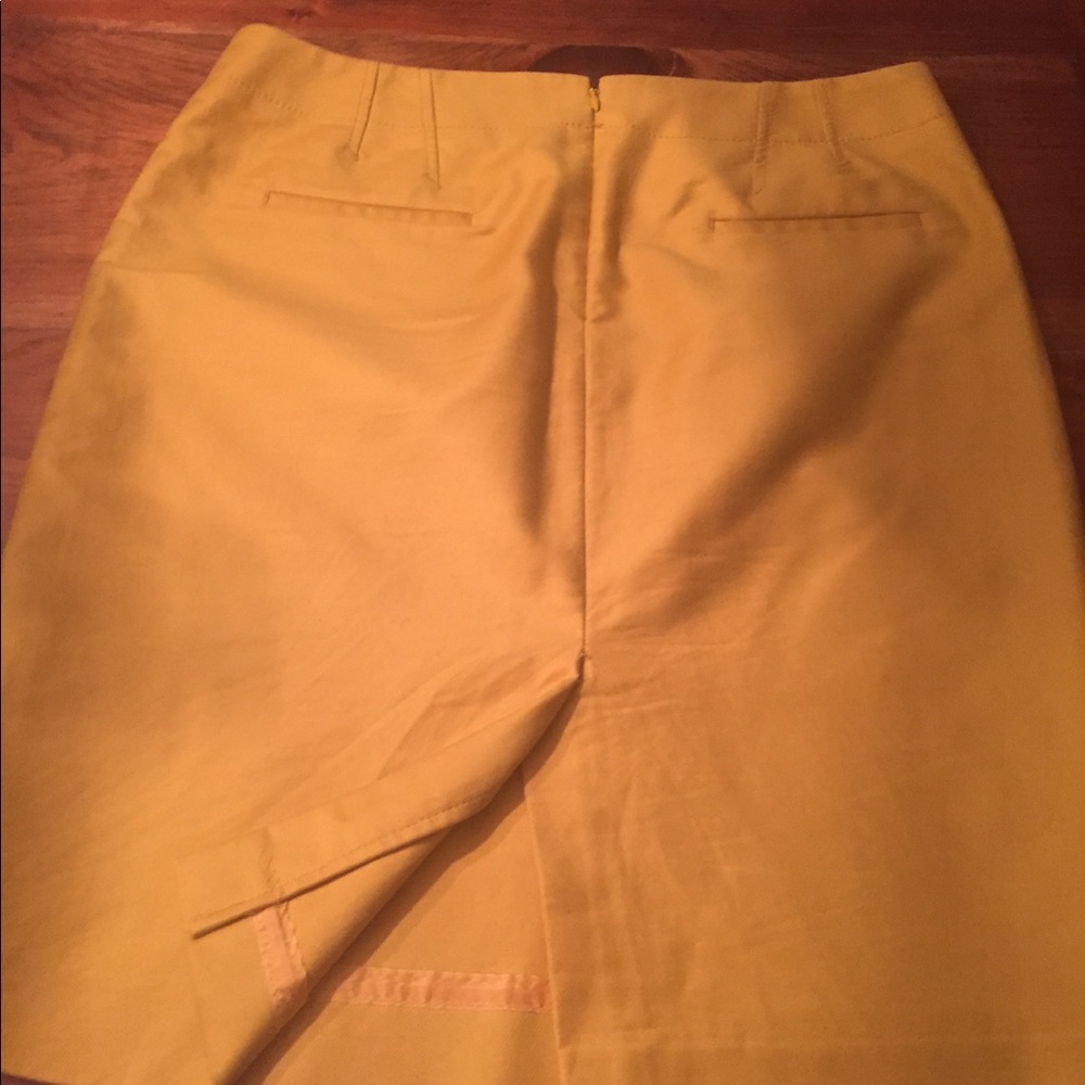J. Crew skirt