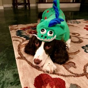 Meet your Posher, Kim