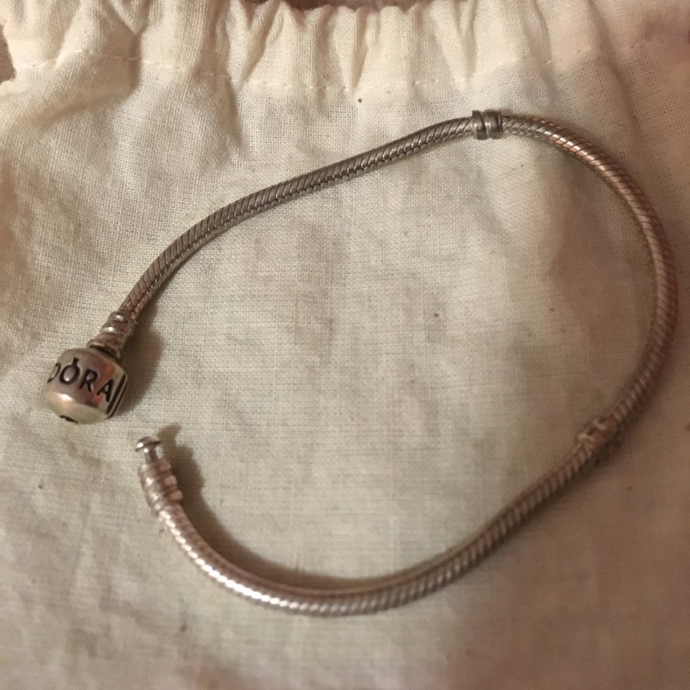 Silver pandora bracelet