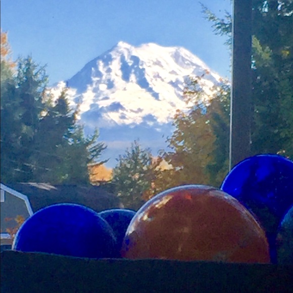 Meet your Posher, 💚🌲 EMILY 💚🌲 - Picture 2 of 5