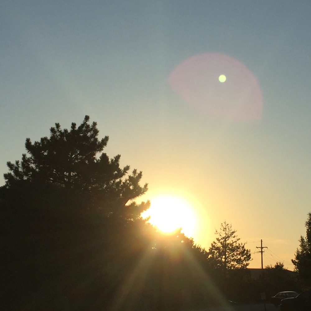 Meet your Posher, Lani