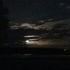 Meet your Posher, Stacey