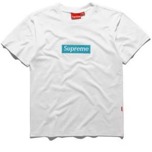Brand New Supreme White Box Logo T-Shirt