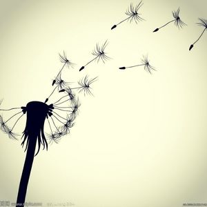 Meet your Posher, Candice