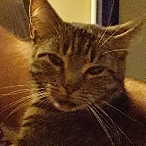 Meet your Posher, Christy