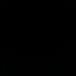 Meet your Posher, Tevin