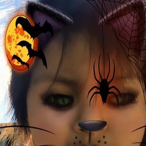 Meet your Posher, Josefina