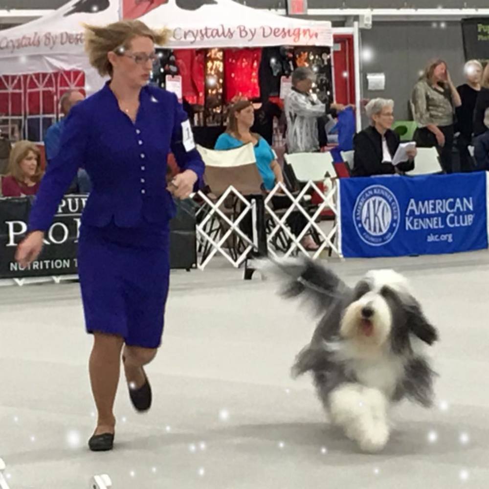 Meet your Posher, Katelyn