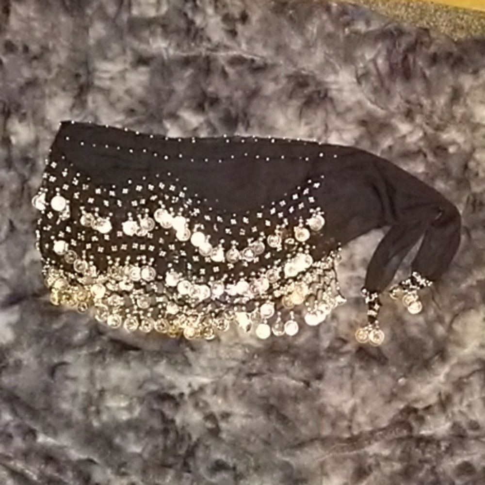 Coin Belt! Black and Silver