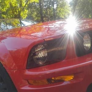 Meet your Posher, William