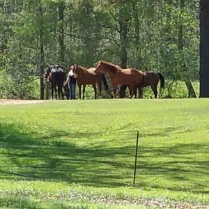 Meet your Posher, Sandra