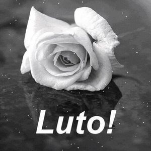 Meet your Posher, Babalu