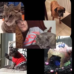 Meet your Posher, Stephanie