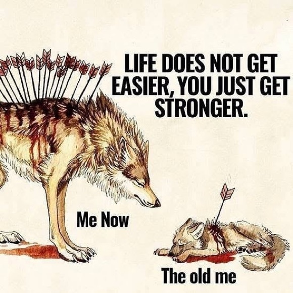 Meet your Posher, Grant - Picture 1 of 1