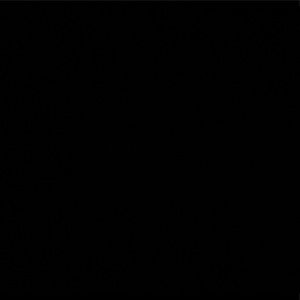 Meet your Posher, Jermaine