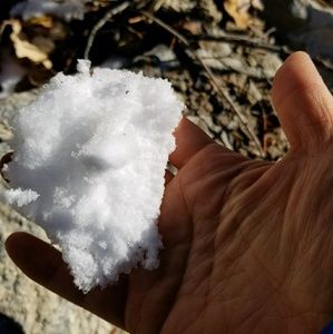 Meet your Posher, Sung