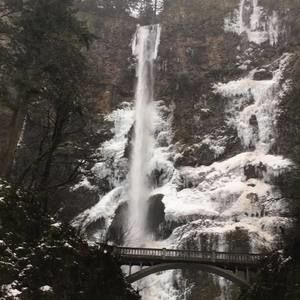 Meet your Posher, Kathleen