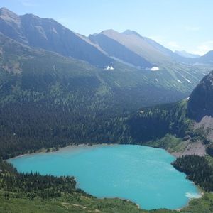 Meet your Posher, Jake