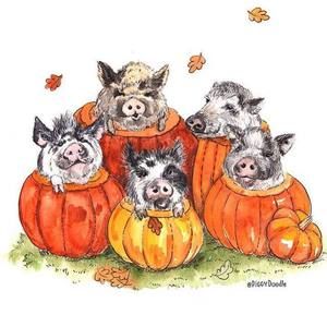 Meet your Posher, Pam