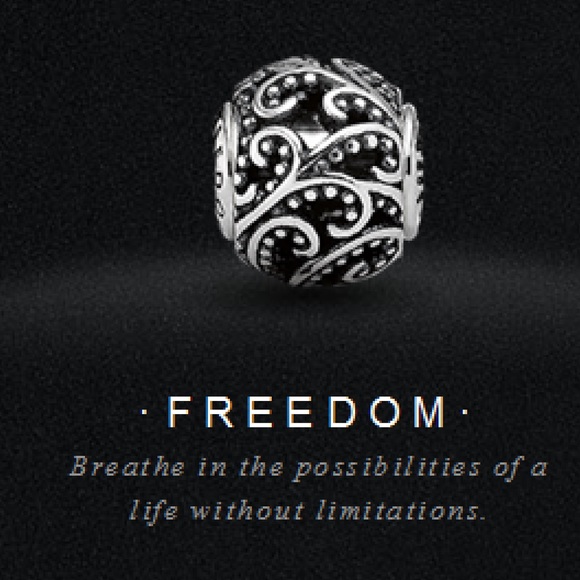 pandora freedom charm pandora freedom charm