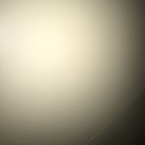 Meet your Posher, Cynthia