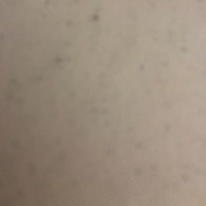 Meet your Posher, Johanna